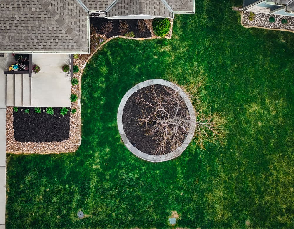 Stunning Backyard Landscaping Transformation in Smithville