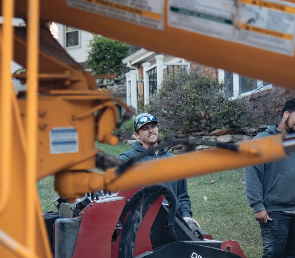 Gallery photos for Front Yard Makeover in Riverside: Image #23